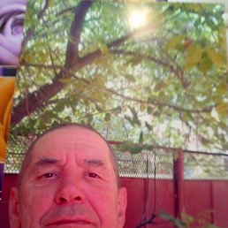 , 77, 