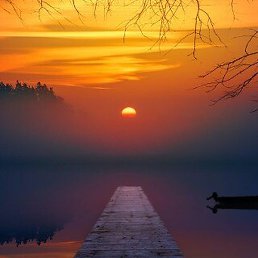 Supers��ya, ���������, 47 ���