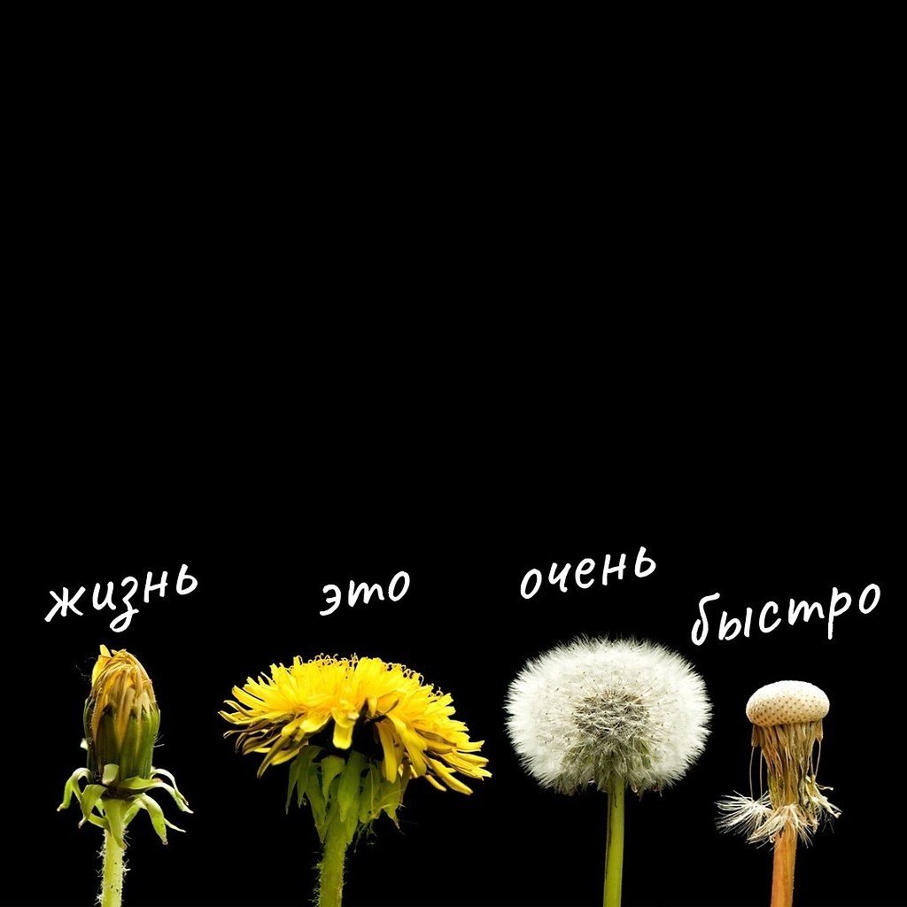 .. - 12  2025  23:07