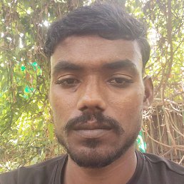 Rahul Kumar, ����, 87 ���