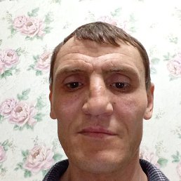 , 41, 