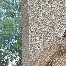 Фото Аля, Смоленск, 57 лет Аля, Смоленск, 57 лет