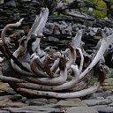 ���� �������, �����-���������, 61 ��� - ��������� 3 ������ 2023