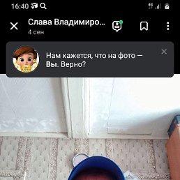 , 48, 