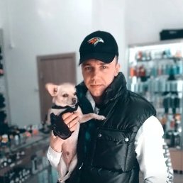 , 30, 