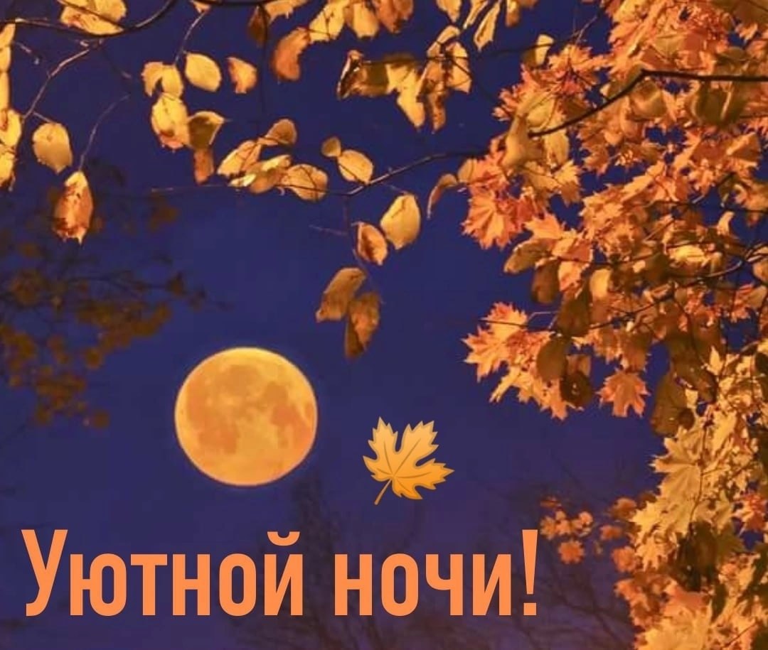   ,    . - 4  2025  21:41 - 3