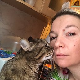 ���������, 42 ����, �����������