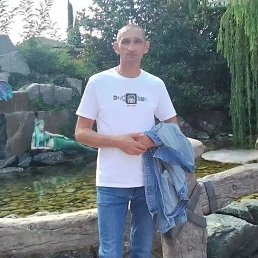 �����, 42 ����, ���������