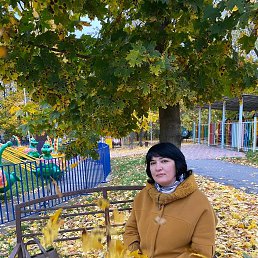 , 52, 