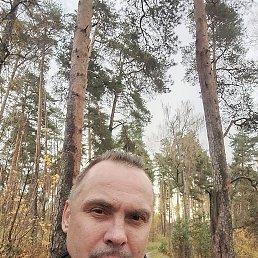 , 45, 