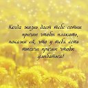 ���� �������, �������� - ��������� 24 ���� 2026 � ������ ������ ��������