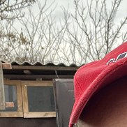 , 49 , 
