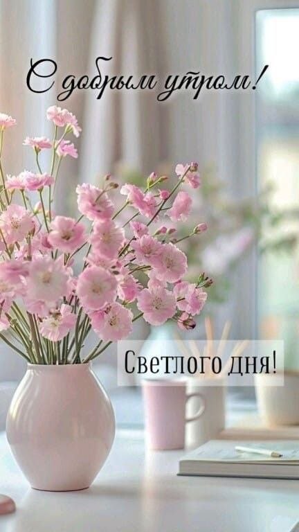   ,    . - 7  2024  23:27