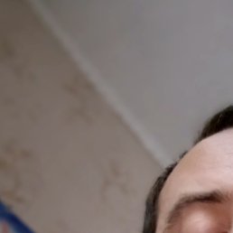 , , 31 