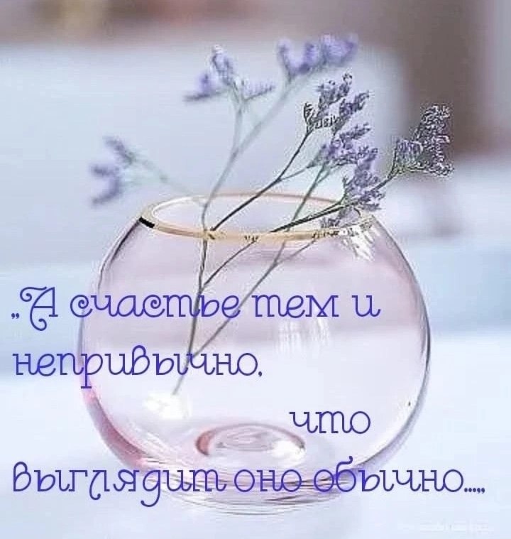   ,    . - 1  2025  16:23