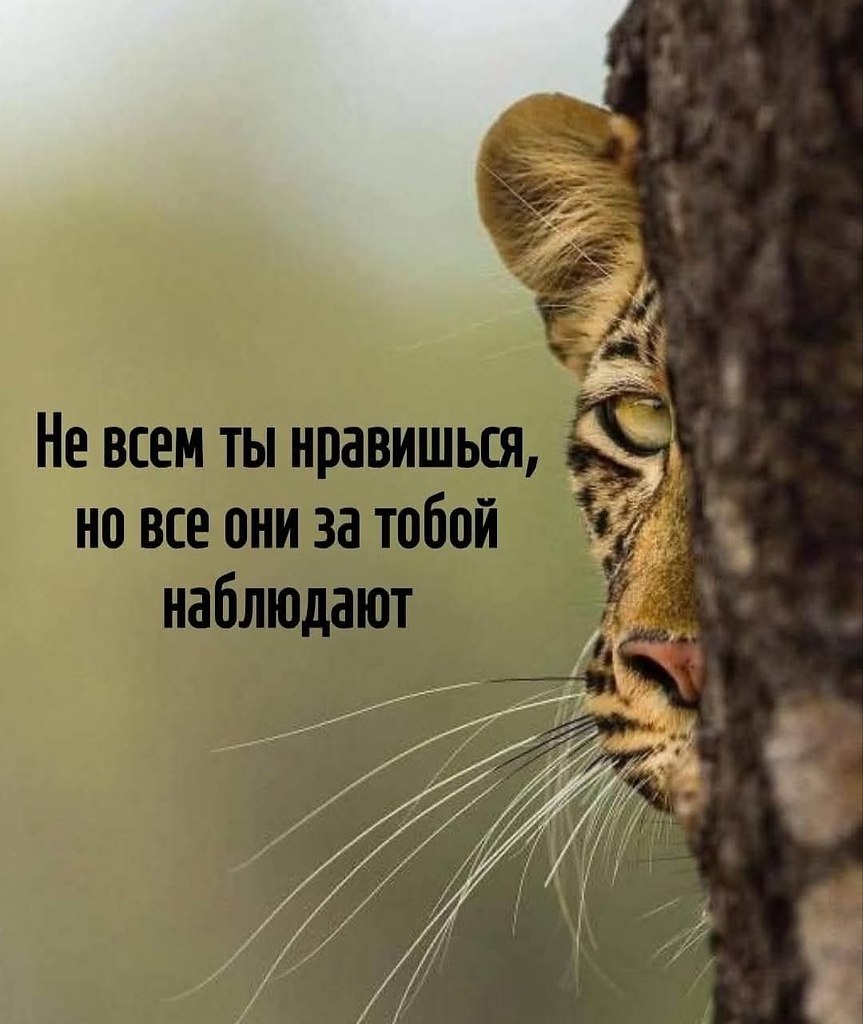 :)