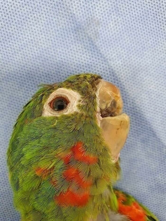 pa oaa eepapo coepa acoee o: o coa o   oaa c ... - 2