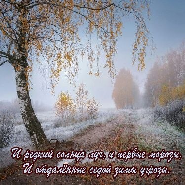   ,    . - 11  2025  12:59