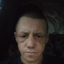 , 37, 