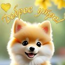 ���� ������, ������������, 48 ��� - ��������� 28 ������ 2026