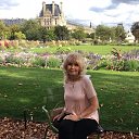 ���� �����, ������, 65 ��� - ��������� 30 ���� 2026 � ������ ���� ����������