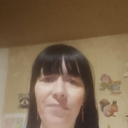 ���������, 38 ���, �����