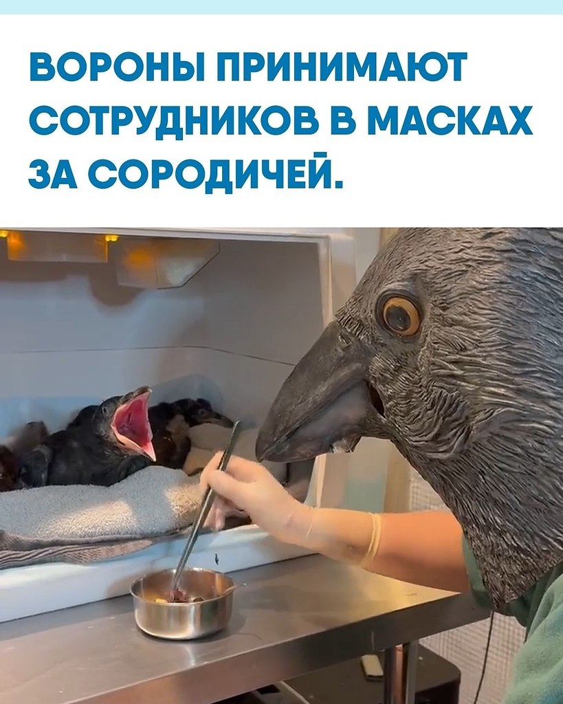 oa pa eo coco aa a a  cop aea oe oo ...
