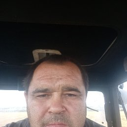 �����, 41 ���, ����