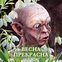 ���� �������, ������, 52 ���� - ��������� 19 �������� 2025