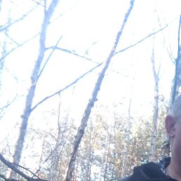 ��������, �����, 43 ����