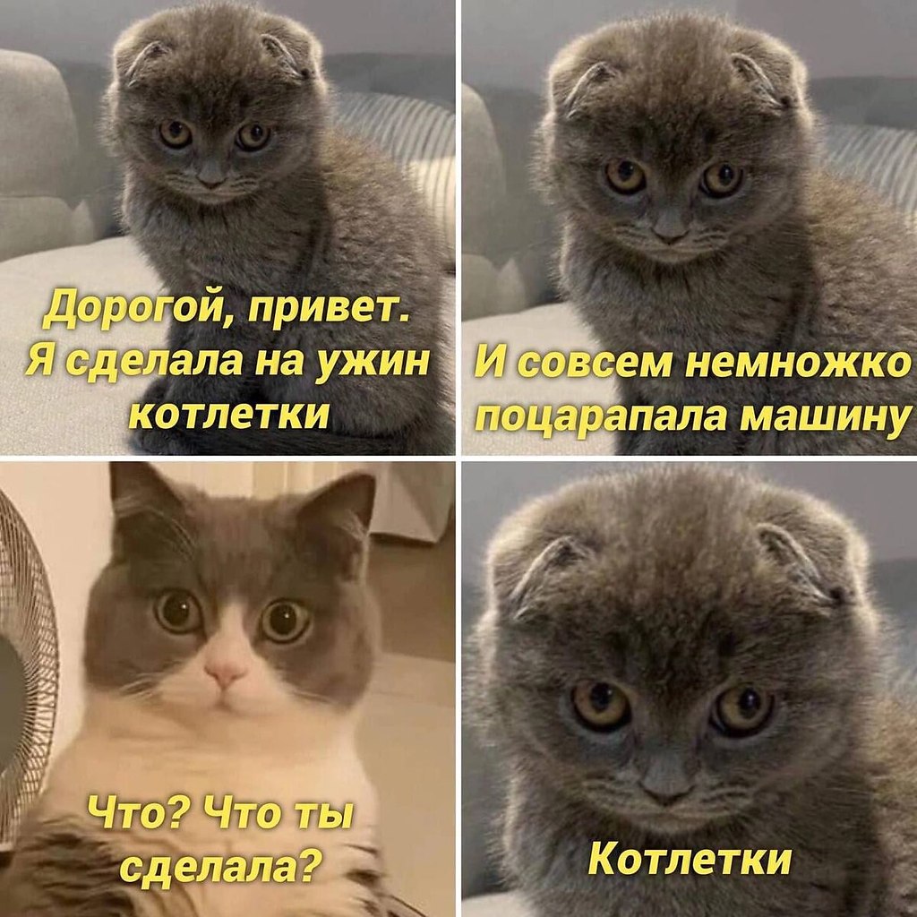   - 9  2025  21:46