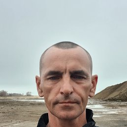 ����, 44 ����, ������