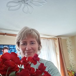 ���� ������, ������, 50 ��� - ��������� 25 ������� 2025