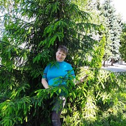 �������, ������, 49 ���