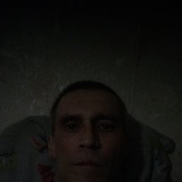 , 52 , 