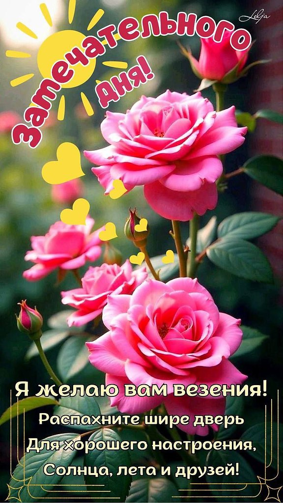   ,    . - 19  2025  13:15 - 7