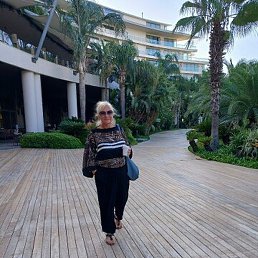 Nata, �������, 50 ���