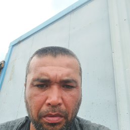 , 41 , 