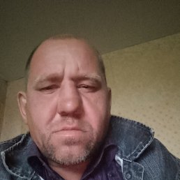 , 41, 