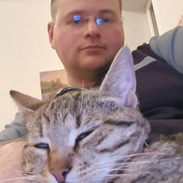 , 32, 