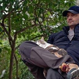 , 48, 