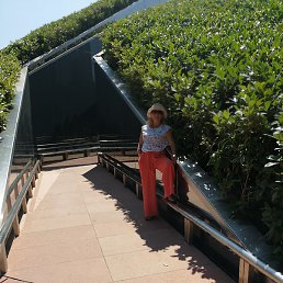 ���, ���������, 48 ���