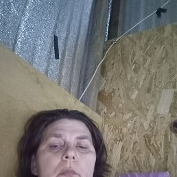 , 28 , 
