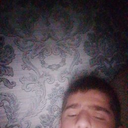 , 29, 