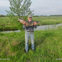 ��������, ������-���, 71 ���