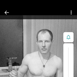 , 37, 