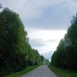 ���� ������, ����, 44 ���� - ��������� 7 ���� 2026