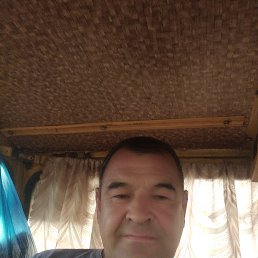 , 55 , 