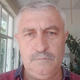 ��������, ������, 61 ���