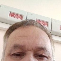 , 51, 